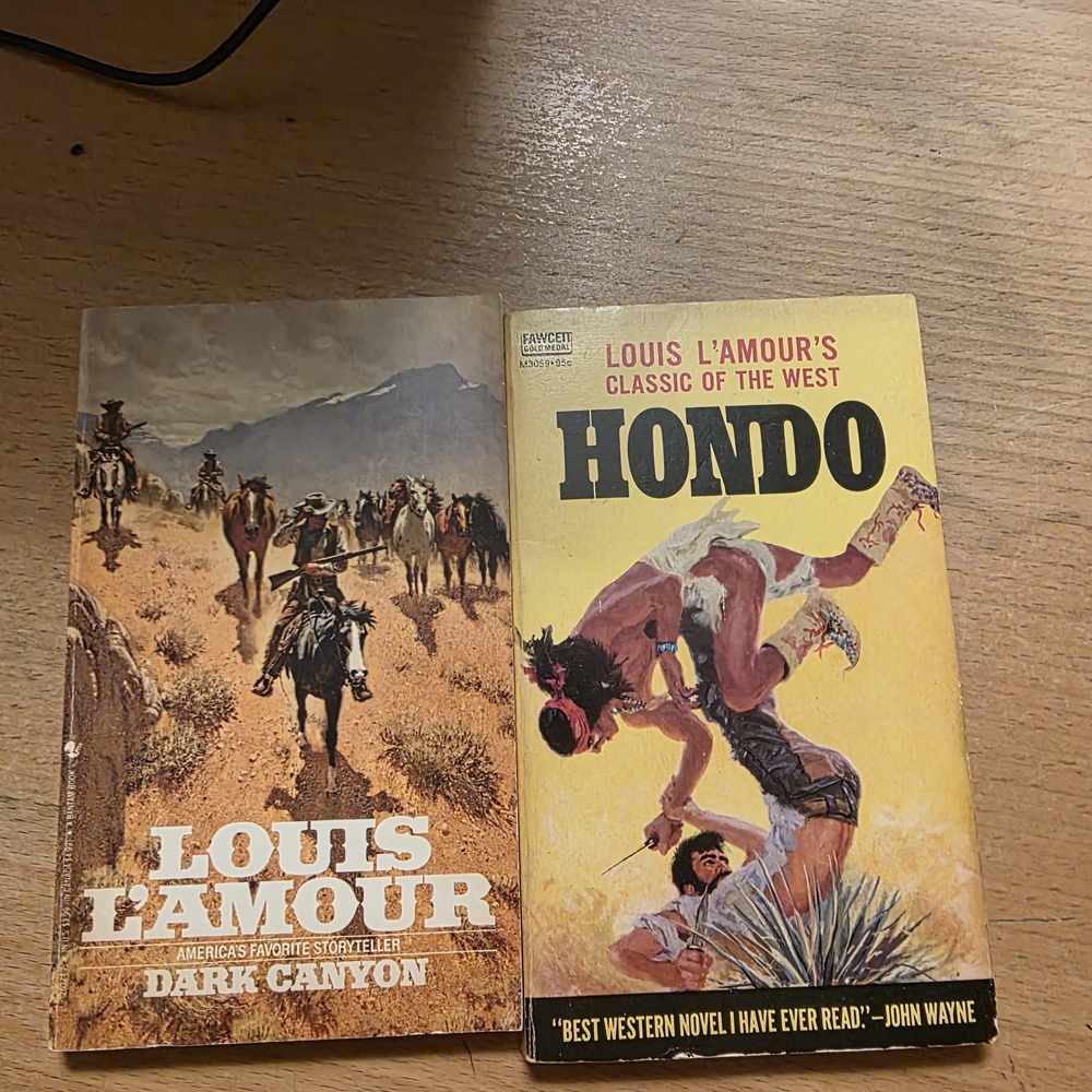 Vintage Book Bundle L'Amour Adventure Duo: Dark Canyon & Hondo